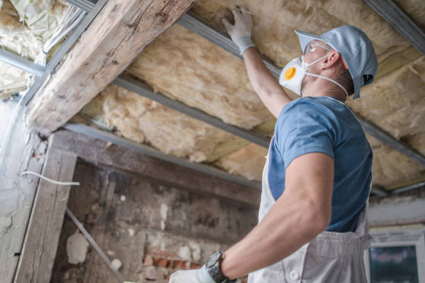 Best Geographic-Specific Insulation Services in Doffing, TX