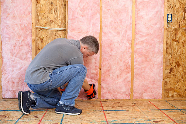 Best Commercial Insulation in Doffing, TX