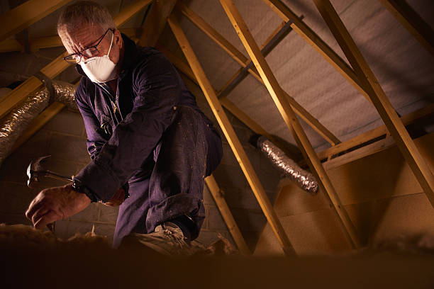 Best Fiberglass Insulation in Doffing, TX
